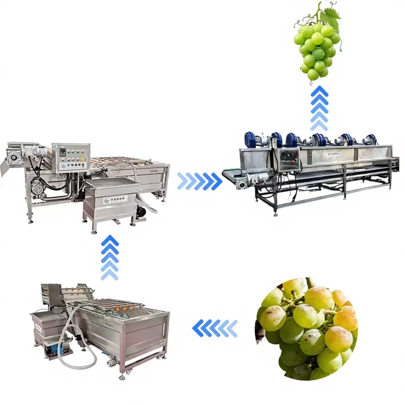 Advanced-Conveyor-Belt-High-Capacity-Avocado-Washing-Peeling-Cutting-Packaging-Line-for-Guacamole-Factories