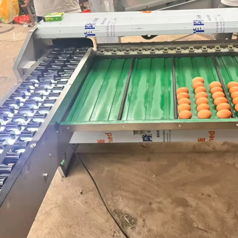 Automatic-7-Level-Chicken-Farm-Egg-Sorting-Machine-5400-Eggs-hour-Egg-Weight-Grading-Sorting-Machine