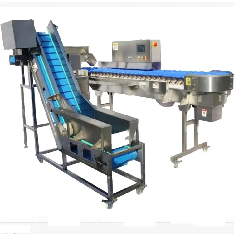 Automatic-Chicken-Product-Shrimp-Sorter-for-Fish-Accurate-Automatic-Weight-Grading-Sorting-Machine-for-Good-Price