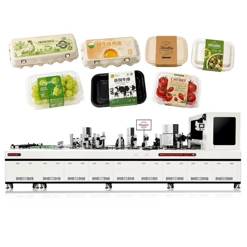 Automatic-Egg-Tray-Printer-Digital-Inkjet-Printing-Machine-Single-Pass-for-Pulp-Mold-Packaging-Carton-Manufacturing-Industry