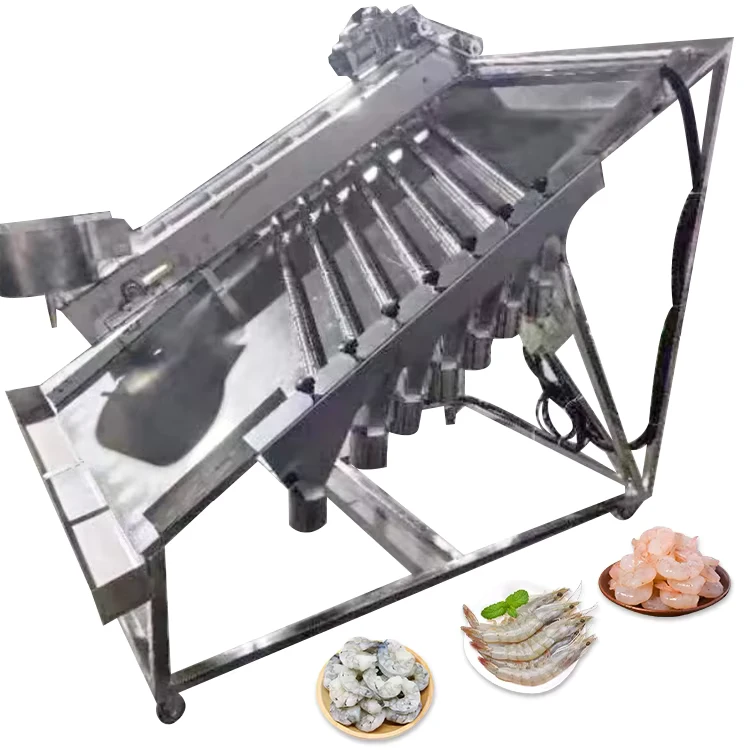 Automatic-Fish-Shrimp-Sorting-Grader-Machine-Fish-Size-Grading-Machine-for-Shrimp