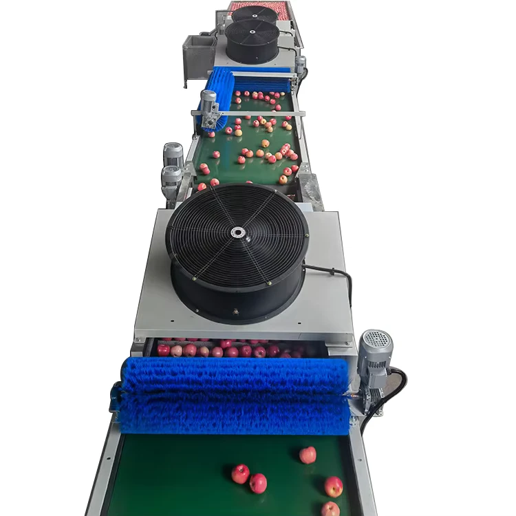 Automatic-Fruit-Sorting-Machine-for-Tomatoes-Potatoes-Apples-Drying-Waxing-Line-with-Pump-Engine-Motor-Bearing-Core-Components