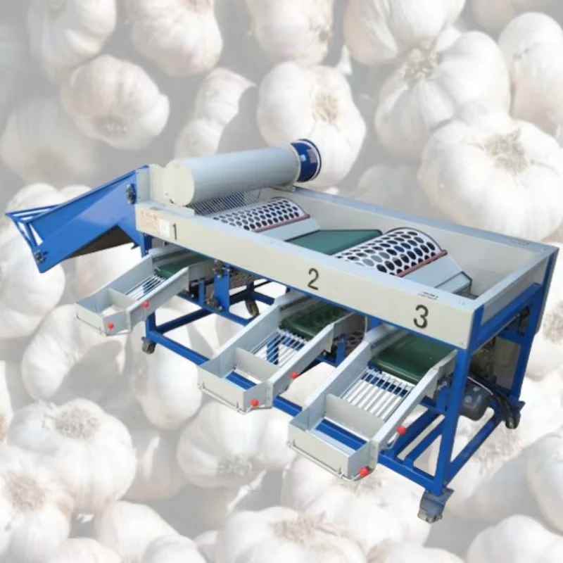 Automatic-Garlic-Clove-Potato-Sorting-Grading-Separator-Machine-Cherry-Vegetable-Fruit-Olive-Garlic-Size-Grading-Sorting-Machine