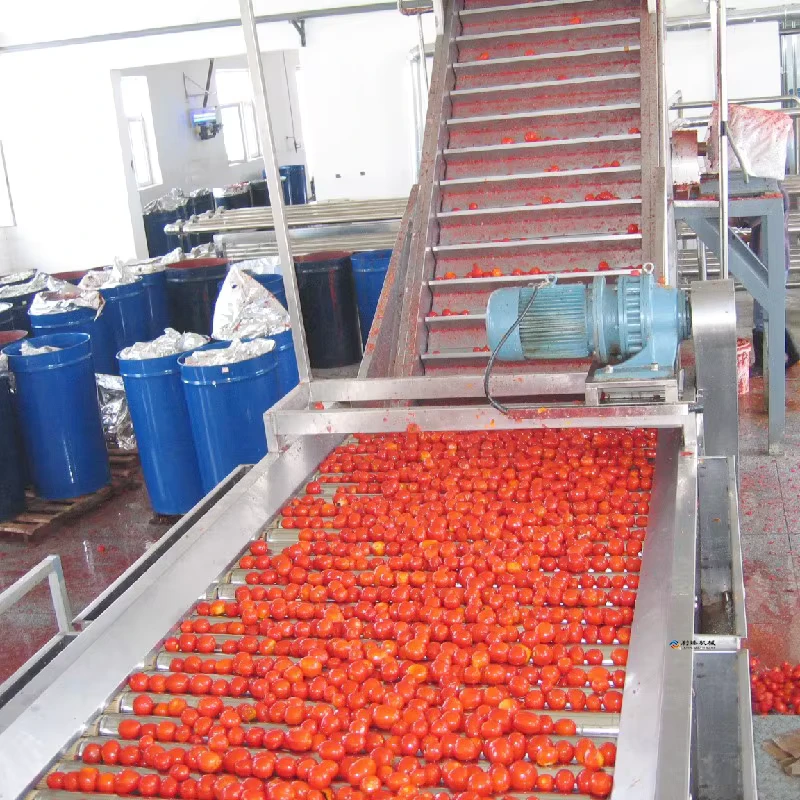 Automatic-High-Quality-Pineapple-Sorting-Apple-Tomato-Sorting-Sort-Machine