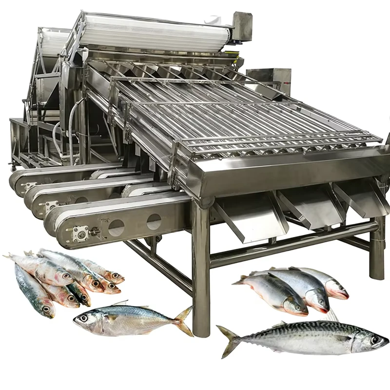 Automatic-Large-Capacity-Sardine-Sorting-Grading-Machine-with-Rollers-Fish-Sizing-Machine-4.9KW