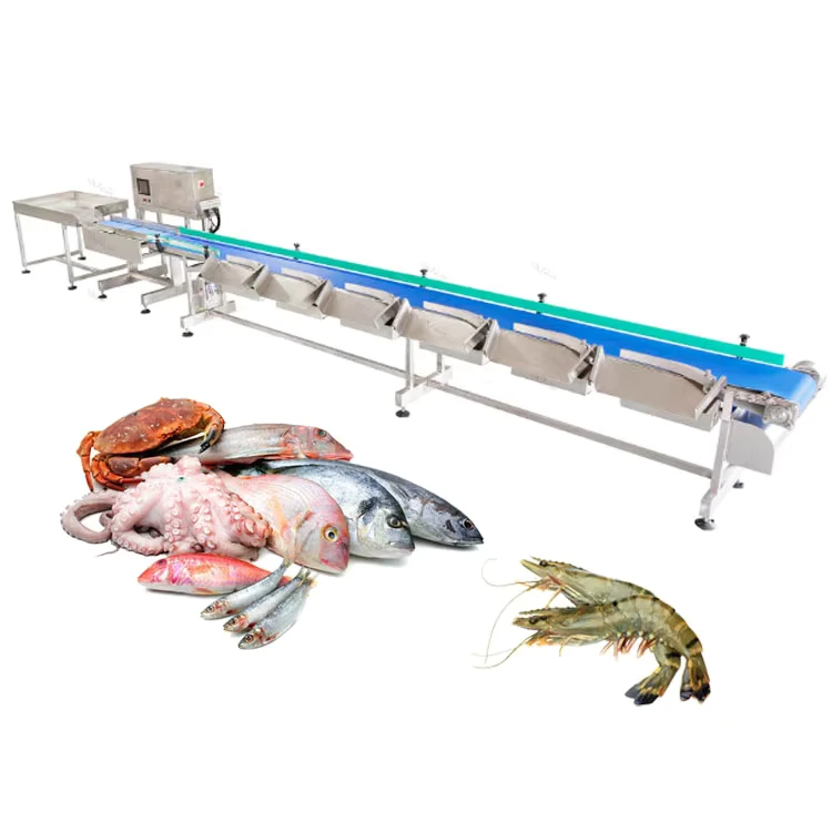 Automatic-Stainless-Steel-Electronic-Fruit-Lemon-Coconut-Sweet-Corn-Conveyor-Sort-Machine-Fish-Grading-Weight-Sorting-Machines