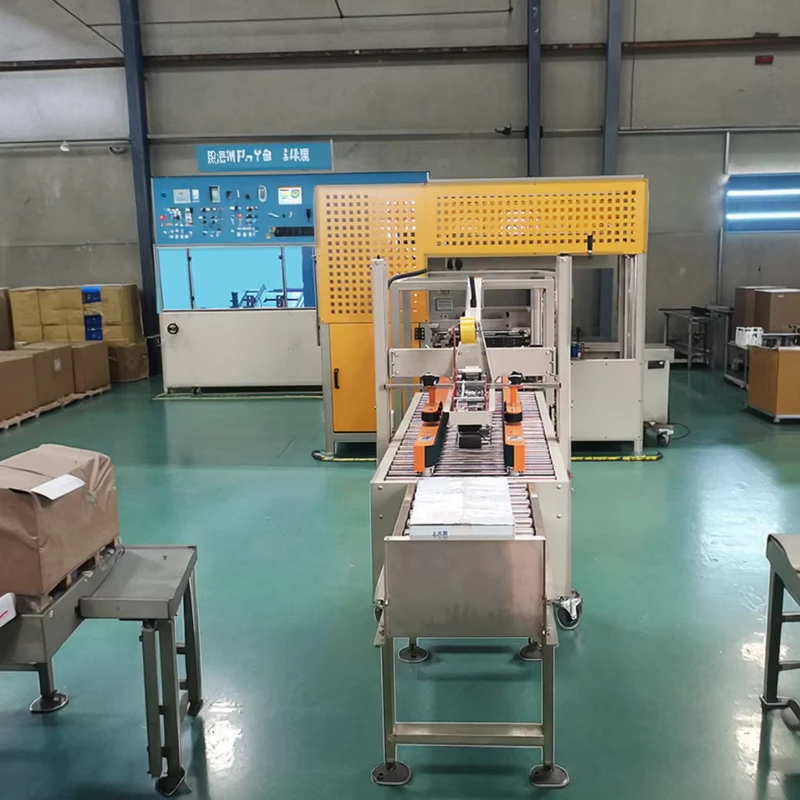 Automatic-Top-Load-Robotic-Case-Packer-Machine-for-Boxes-and-Cartons