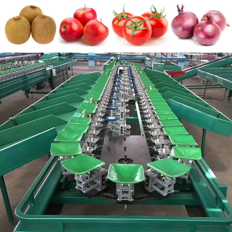 Automatic-Watermelon-Grading-Sorting-Machine-Auto-Industrial-Jackfruit-Kabocha-Weight-Grader-Sorter-Equipment-for-Sale