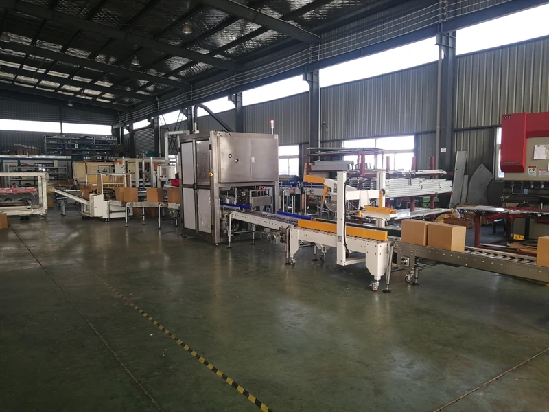 Carton-Erector-Packer-Sealer-Line-Carton-Box-Case-Packing-Sealing-Strapping-Palletizing-Palletizer-Machine-Manufacturer-Supplier