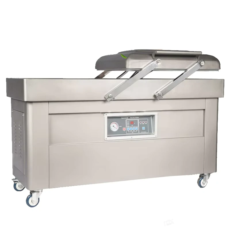 DZ600-2SB-Economic-Double-Chamber-Vacuum-Packing-Machine-for-Frozen-Foods
