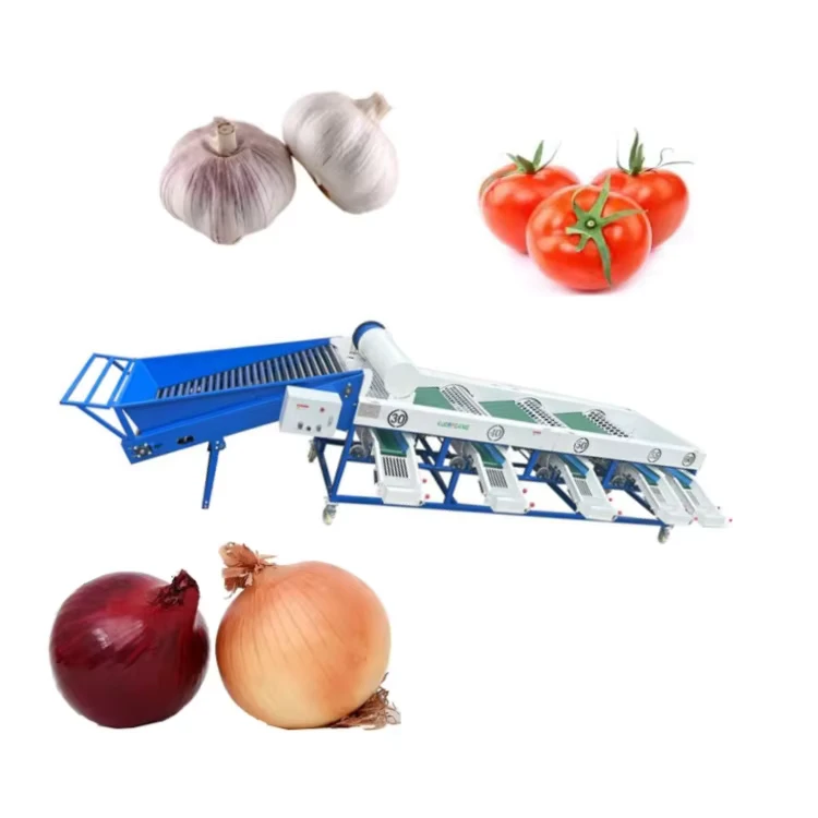 Drum-Type-Onion-Sorting-Machine-Garlic-Bulb-Tomato-Grading-Machine-Lemon-Grader-Sorting-Machine