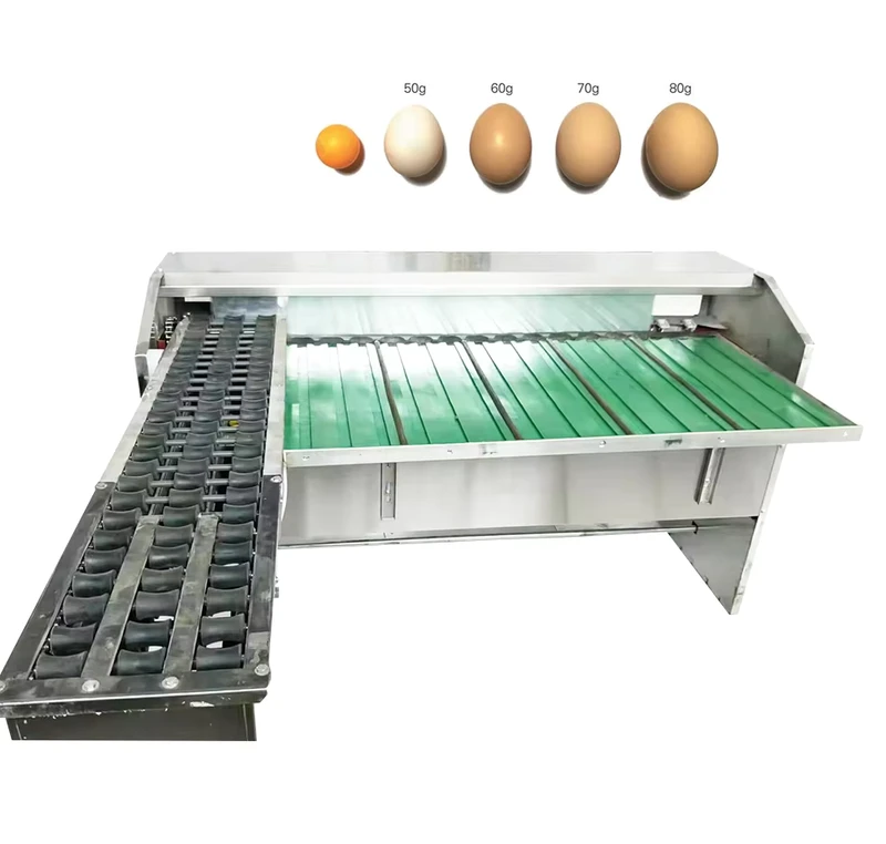 Egg-Grading-Machine-That-Can-Detect-Bad-Eggs-with-Light-Egg-Sorting-Machine-for-Sale