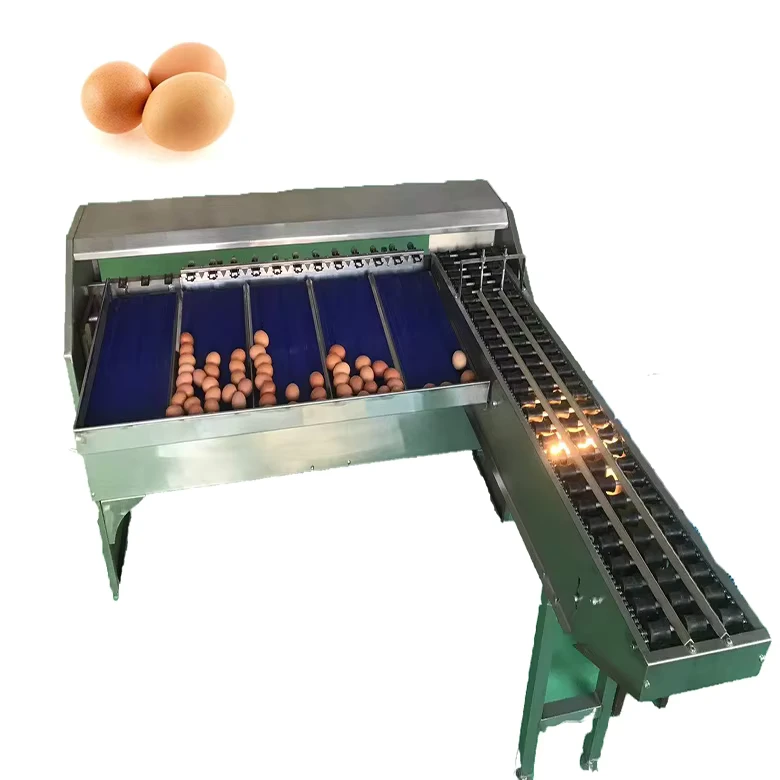 Egg-Grading-Machine-egg-Sorting-Machine-egg-Grader-for-Sale