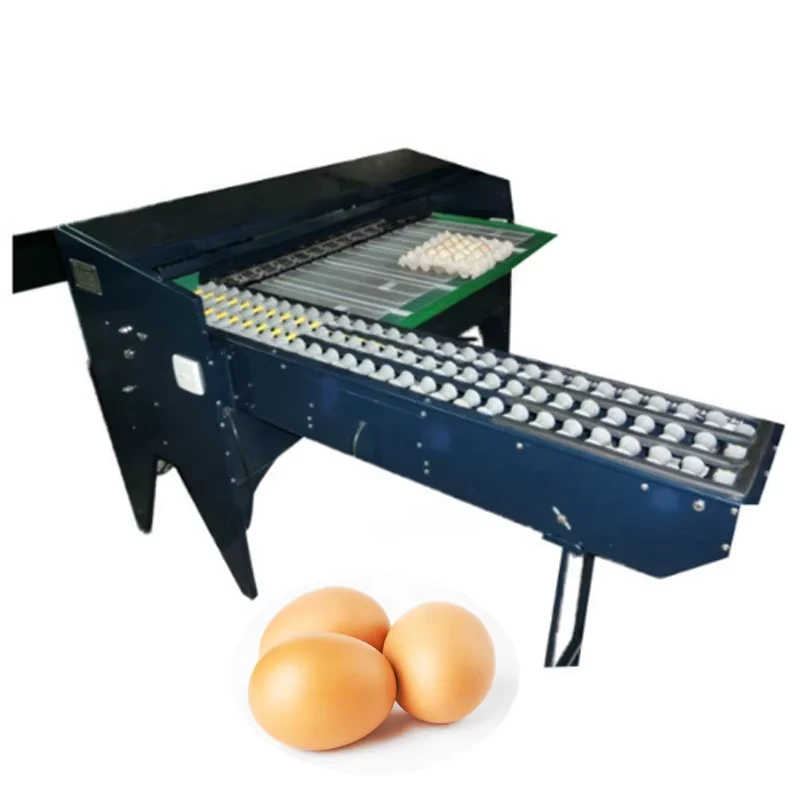 Egg-Size-Sorting-Machine-Grading-Egg-Classification-Machine-Price