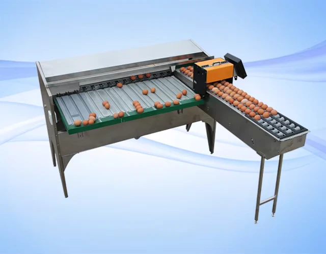Electronic-Automatic-Egg-Grade-Small-Scale-Chicken-Egg-Inspection-Classify-Size-Sorter-Grader-Sort-Machine