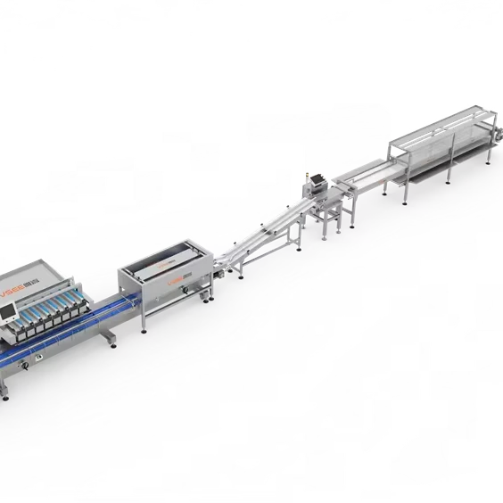 Esay-Operate-Full-automatic-Filing-Weighing-Berries-Blueberry-Plastic-Box-Tray-Packing-Machine