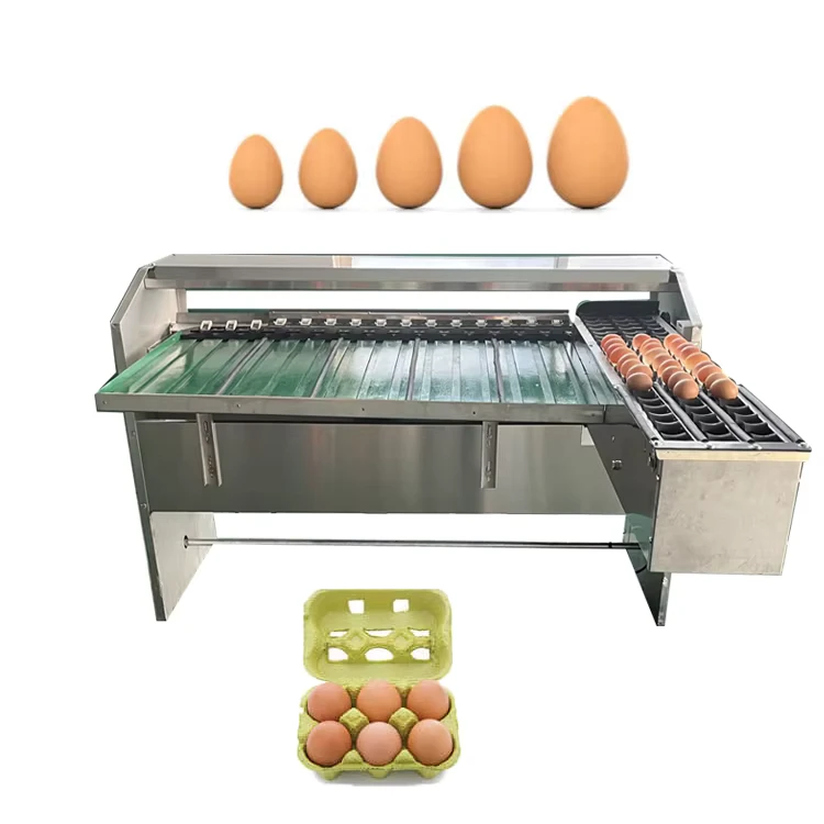 Factory-Price-6500pcs-H-Egg-Sorting-Machine-Supplier-for-Sale