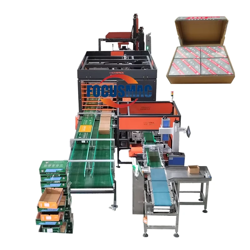 Focus-Machinery-Electric-Fully-Automatic-Carton-Box-Machine-for-Food-Packaging-Taping-Labelling-Strapping-Paper-Case-Wrapping
