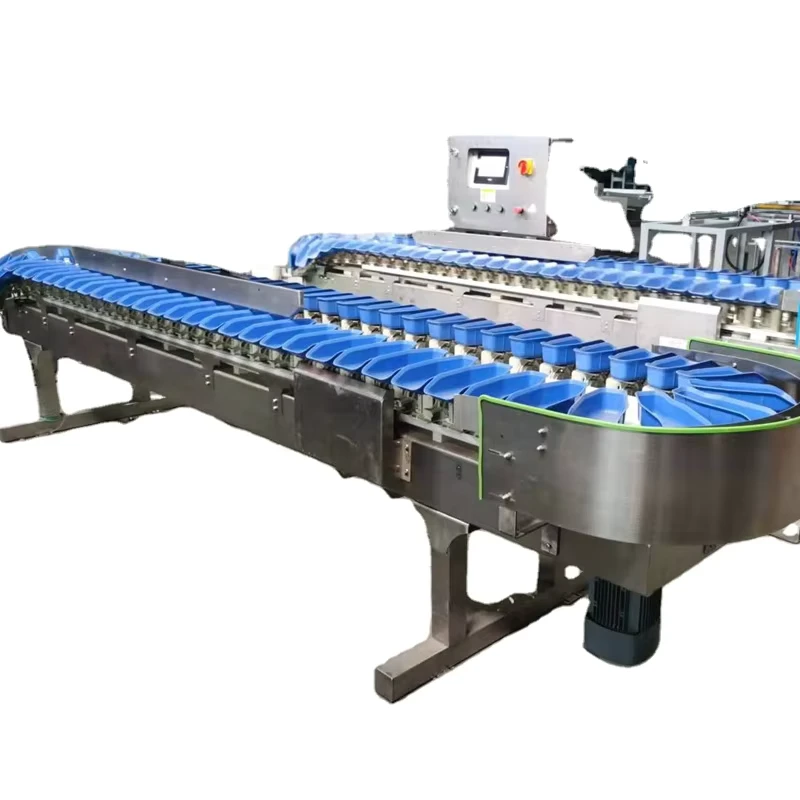 Frozen-Fish-Sorting-Tuna-Grading-Machine-Salmon-Sorting-Machine-Price-Tilapia-Weight-Sorter-Machine