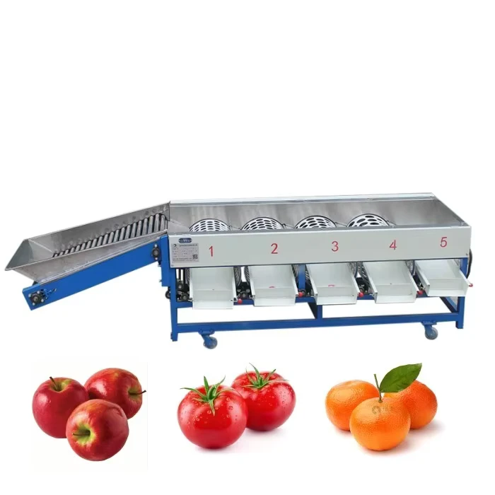 Fruit-Sorting-Machine-Citrus-Fruit-Grading-Machine-Tomato-Sorter
