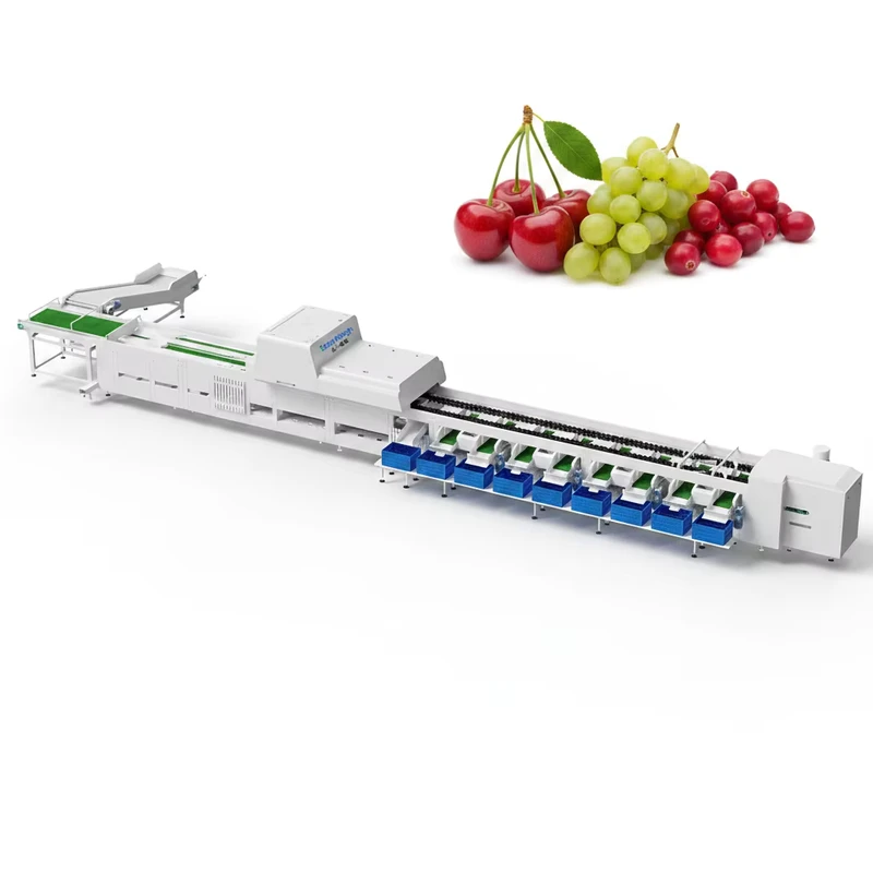 Fruit-Sorting-Machine-Fruit-and-Vegetable-Sorting-Machine-Fruit-Washing-and-Sorting-Machine