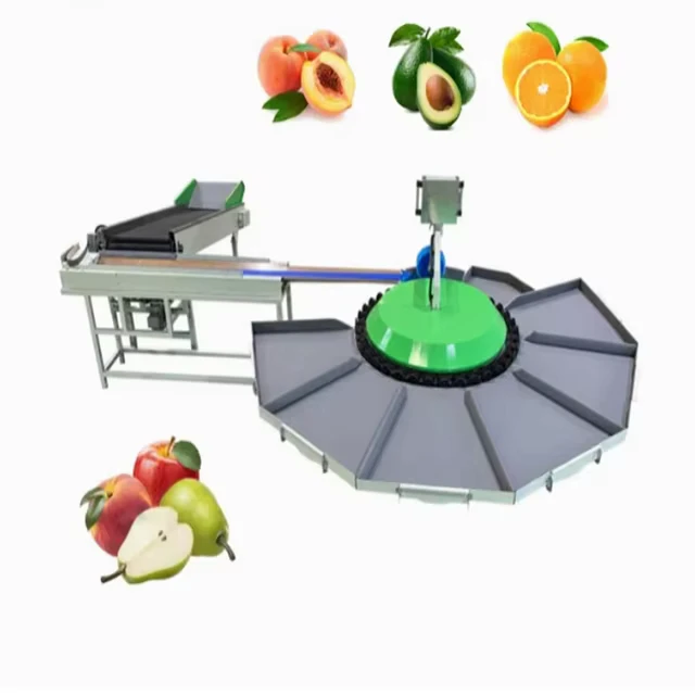 Fully-Automatic-Fruit-Sorting-Machine-Vegetable-Sorting-Machine-Weight-Sorting-Machine-Fruit-Processing-Plant-Sorting-Line