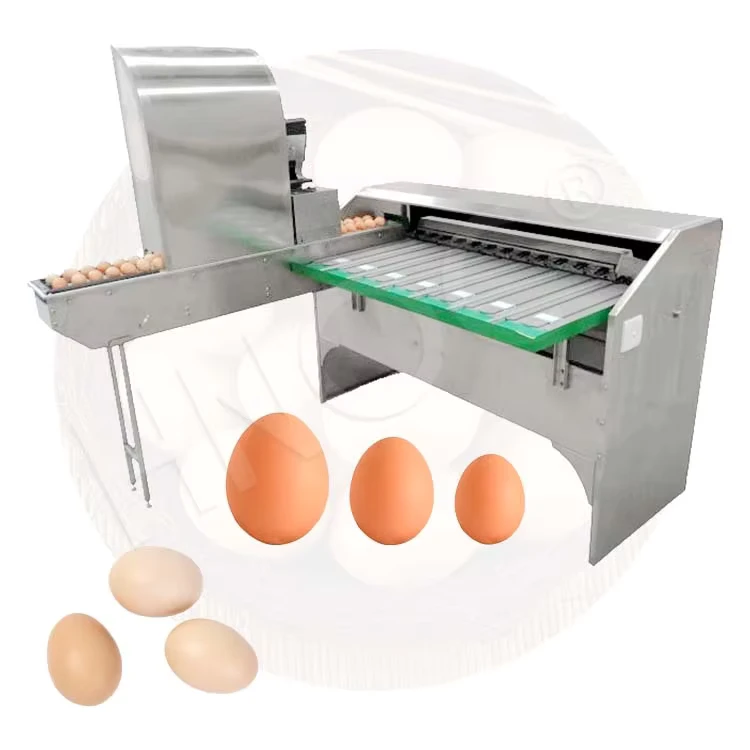 HNOC-Electronic-Automatic-Egg-Grade-Chicken-Egg-Inspection-Classify-Small-Scale-Size-Sorter-Grader-Sort-Machine