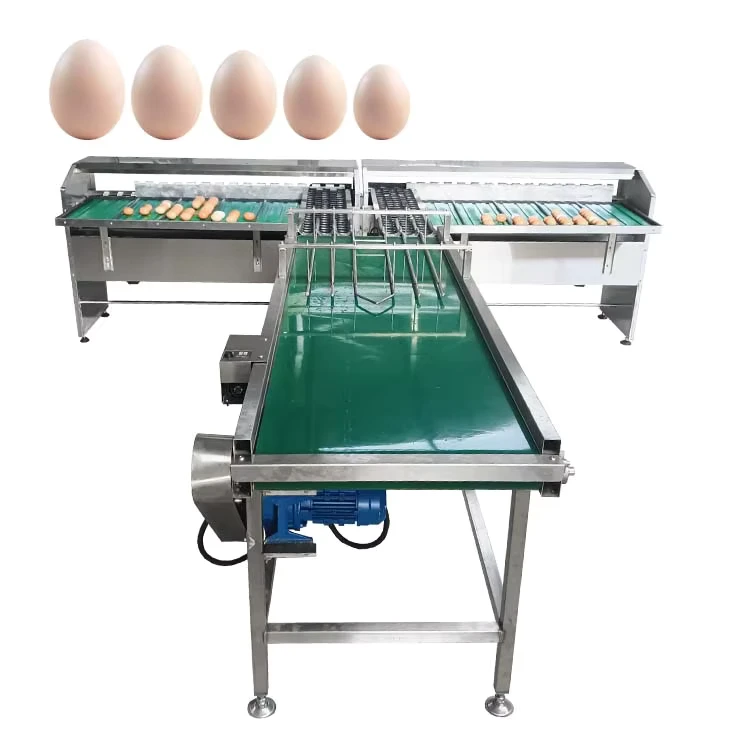 High-Efficiency-Automatic-Egg-Grading-and-Sorting-Machine-for-Poultry-Farms