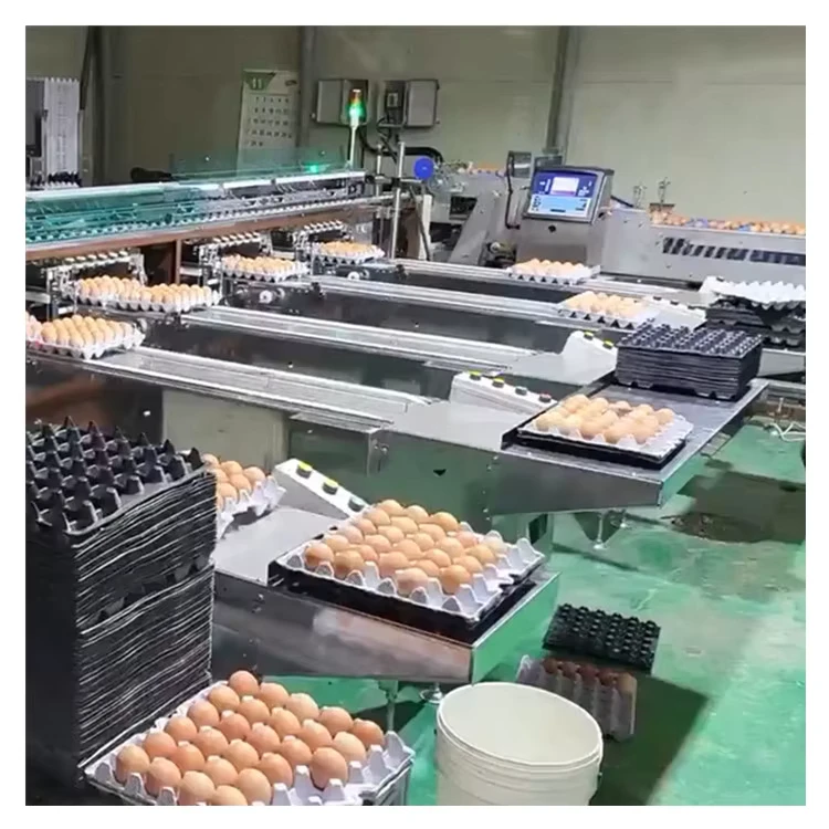 High-Speed-Automatic-Sorting-Machine-for-Animal-Cages-New-and-Used-Steel-Grading-Machine-for-Sale