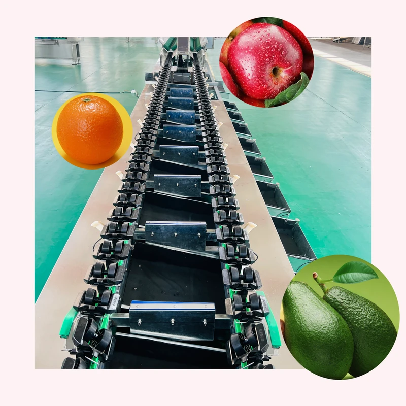 Hot-Selling-High-Efficiency-Industrial-Automatic-Grading-Machine-Fruit-Sorter-Machine