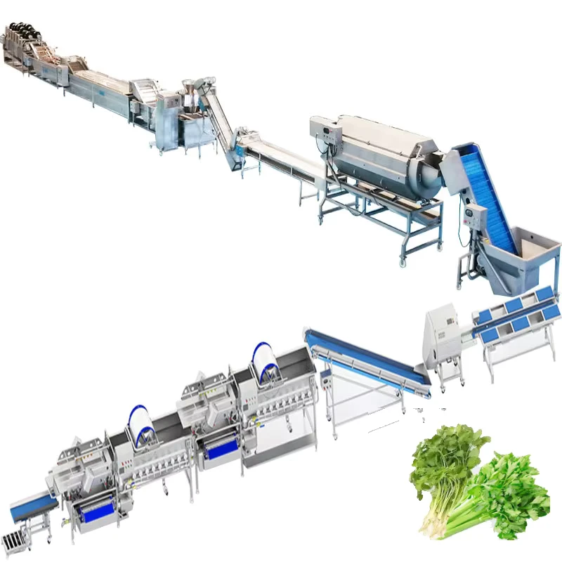 Industrial-Fruit-Vegetable-Processing-Line-Complete-Line-From-Washing-Sorting-to-Slicing-Drying-Packing-Leafy-Vegetables