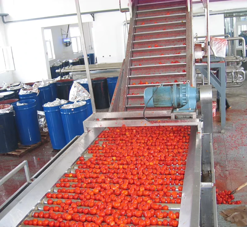 Industrial-Sorter-Machine-automatic-Fruit-Sorting-Machine-commercial-Tomato-Potato-Grading-Sorting-Machine