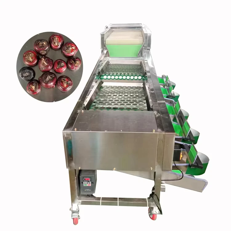 Industrial-Tomato-Potato-Orange-Size-Sorting-Grading-Machine-for-Sale