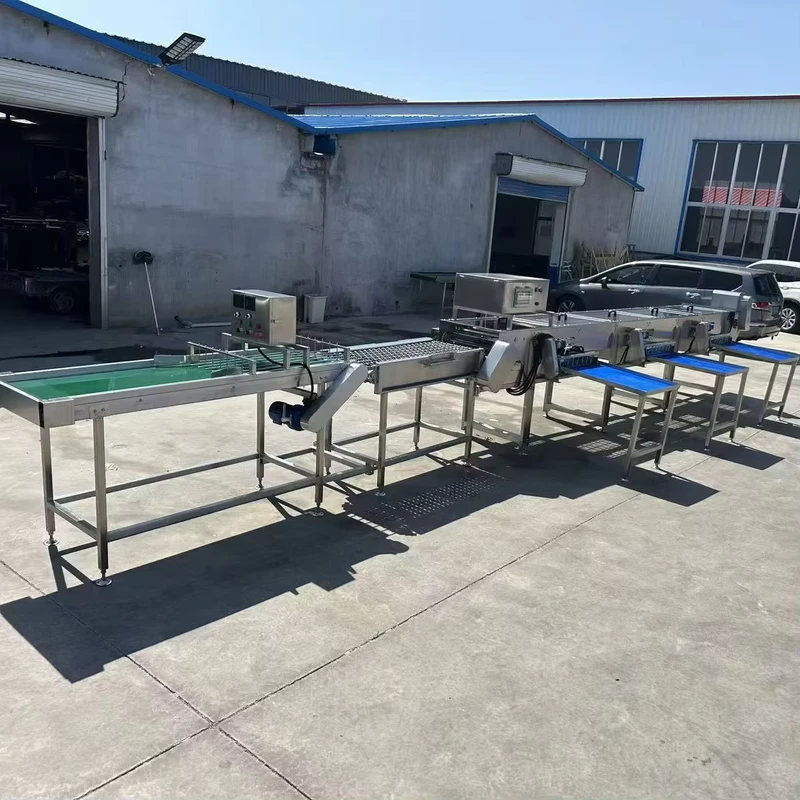 KR-High-Efficiency-Egg-Grading-Sorting-Machine-15000-Eggs-H-Classification-Accuracy-Automatic-Food-Processing-Machinery