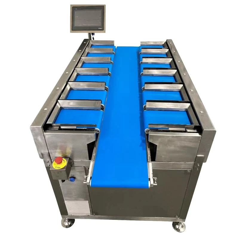 Manual-Belt-Weigher-Food-Fish-and-Meat-Weight-Belt-Type-Combination-Weigher-Weighing-Packaging-Machine-Equipment