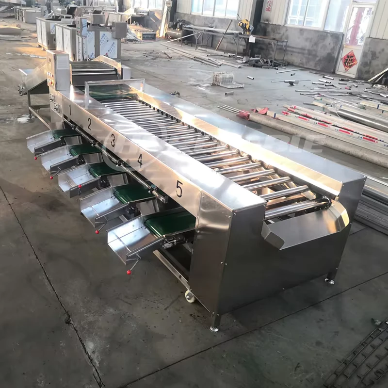 Motorized-Fruit-Vegetable-Cleaning-Sorting-Grading-Machine-for-Apples-Cherries-Blueberries-Onions-Potatoes-Dates-Other-Produce