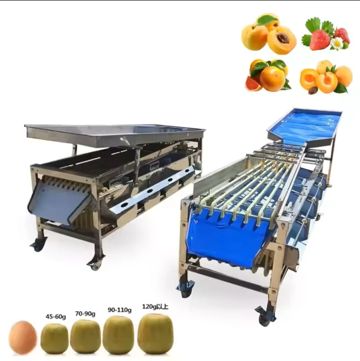 Multi-function-Fruit-and-Vegetable-Size-Pineapple-Apple-Potato-Tomato-Washing-Grading-Sorting-Grader-Sorter-Machine