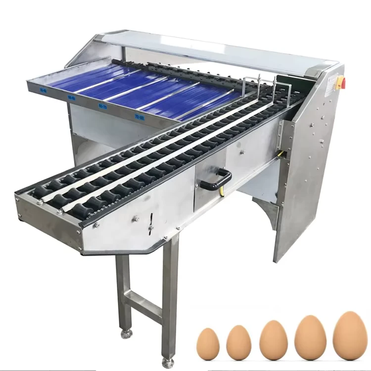 Multi-function-Small-Egg-Size-Grade-Washing-and-Sorting-Machine-Chicken-Egg-Sorting-Grading-Machine-for-Sale