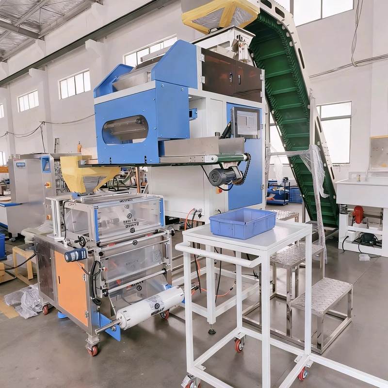 Multifunctional-Automatic-Pneumatic-Visual-Counting-Wrapping-Packaging-All-in-one-Machine-for-Food-Chemical-Applications