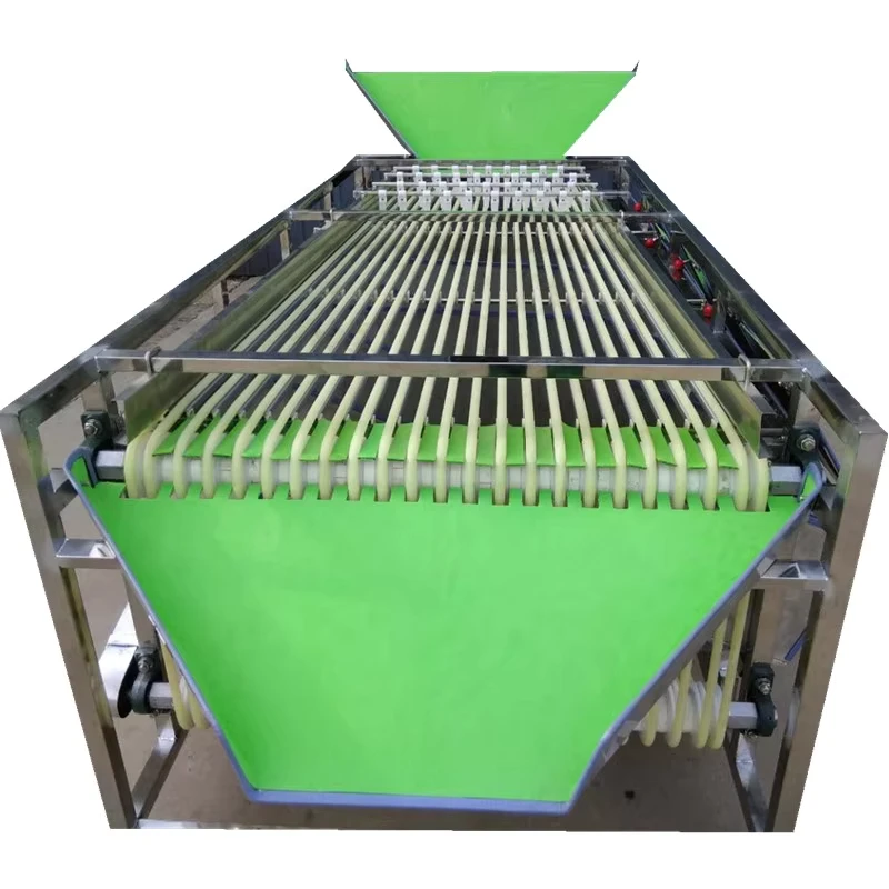 Nuts-Processing-Macadamia-Nut-Walnut-Chestnut-Raisin-Grading-Sorting-Machine
