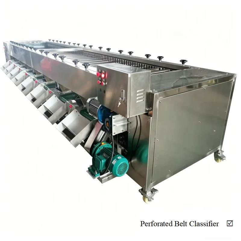 PLC-Tomato-Garlic-Onion-Sorting-and-Grading-Machine-Suitable-for-Chicken-Crayfish-Seafood-Fruits-and-Vegetables-Food-Grade
