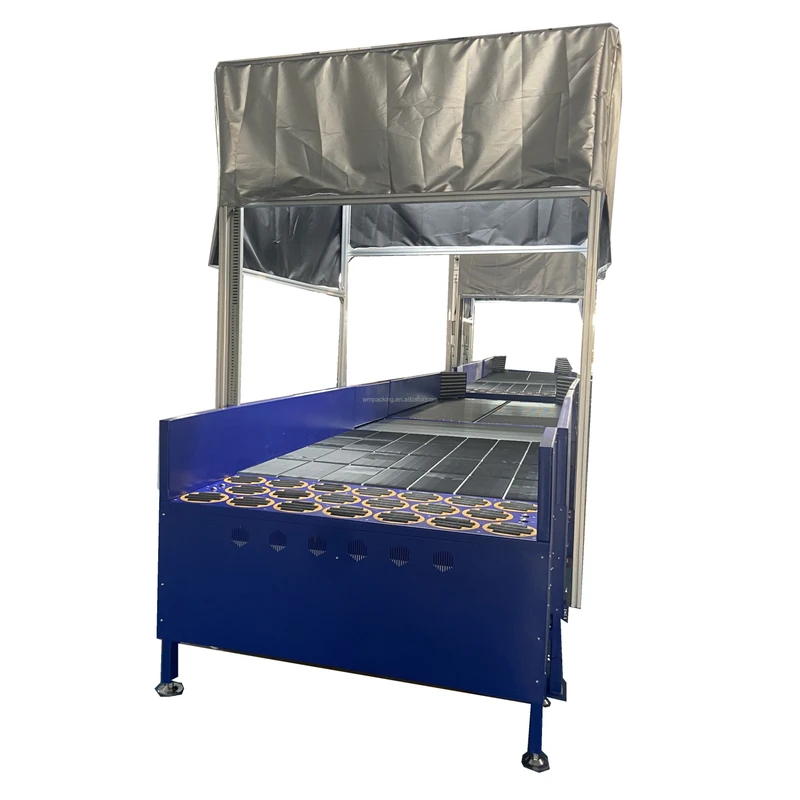 Parcel-Singulator-Automatic-Sorting-Machine-Sorting-Solutions-for-Parcels-Sequence-Sorting
