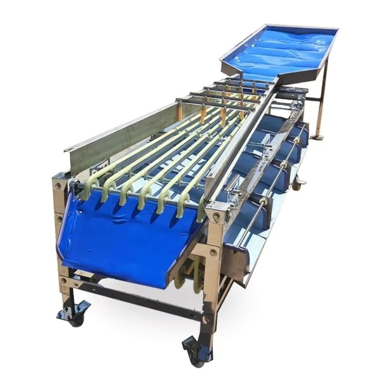 Potatoes-Garlic-Cherry-Plum-Dates-Cashew-Pineapple-Sorter-Sorting-Grading-Machine-for-Vegetable-Fruit