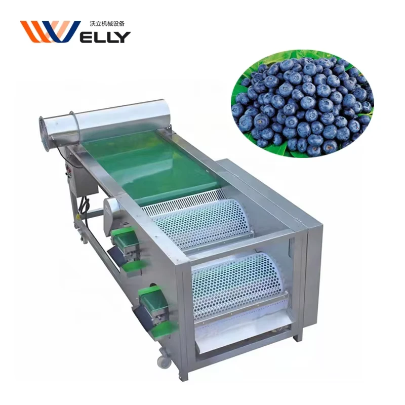 Professional-Designed-Blueberry-Grading-Machine-Fresh-Blueberry-Sorting-Machine-Bilberry-Sorter-Machine