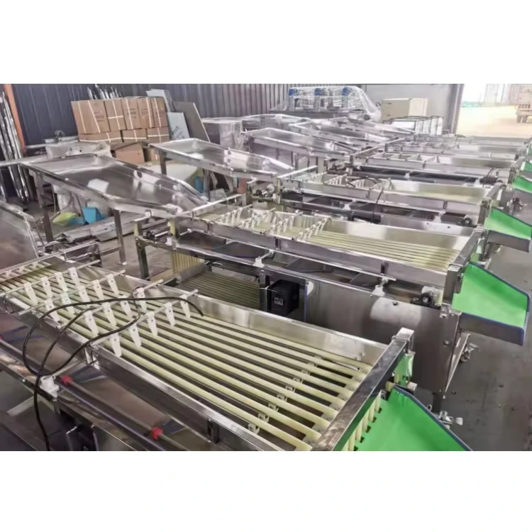 Screw-Sorting-Machine-Garlic-Sorting-Machine-Grain-Sorting-Machine