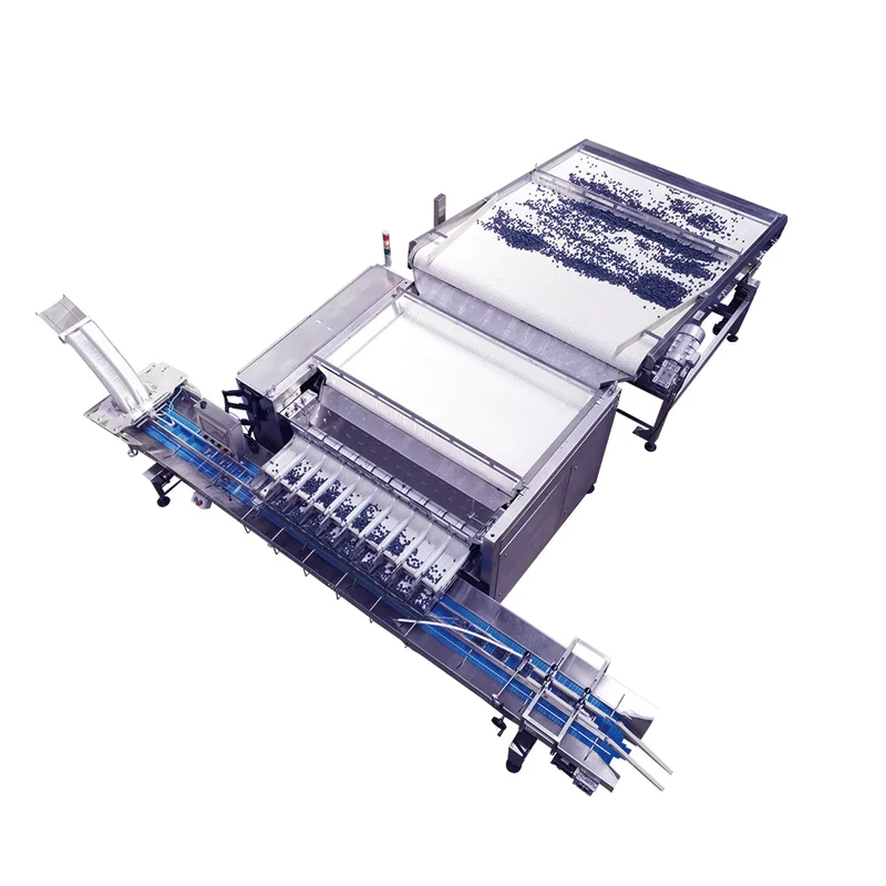 Semi-automatic-Plastic-Punnet-Box-Packaging-Line-Blueberry-Strawberry-Cherry-Packing-Machine-with-Clamshell-Filling