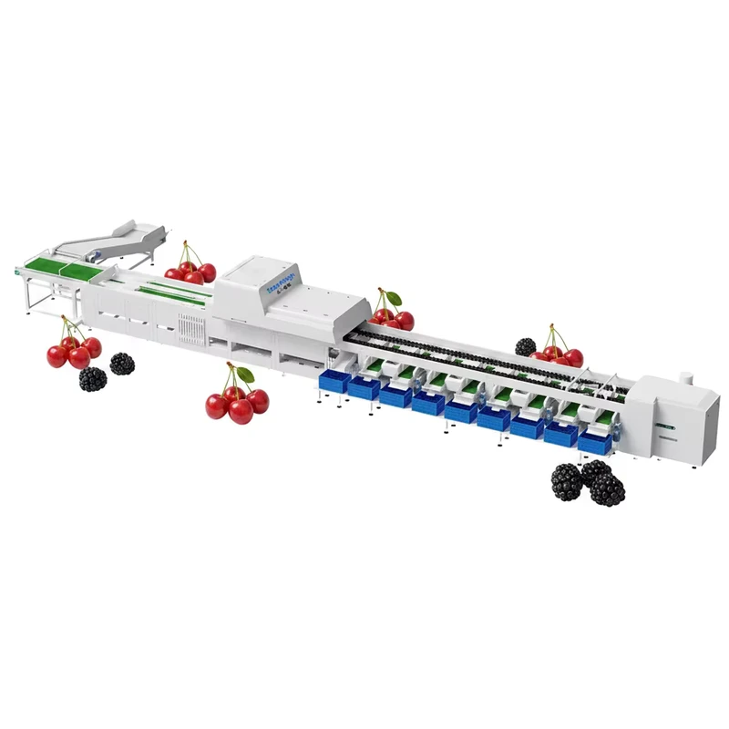 Sorting-Machine-Automatic-Sorting-Machine-Intelligent-Sorting-Machine-Fruit-Sorting-Machine-Sorting-Line-Weight-Sorting-Machine