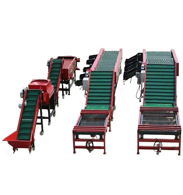 Stainless-Steel-Machine-Garlic-Cleaning-Garlic-Sorting-Grading-Machine-for-Sorting