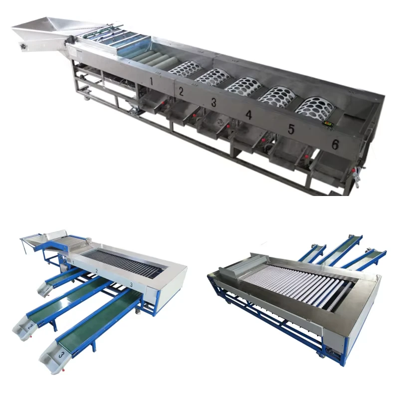 Stainless-Steel-Potato-Tomato-Sorter-Strawberry-Sorting-Machine-Grading-Machine