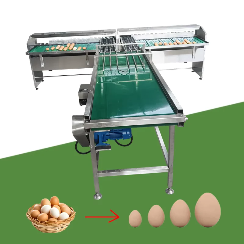 Stainless-Steel-Small-Type-Farm-Egg-Washing-Grading-Sorting-Machine-5-7-Levels-with-a-Capacity-of-50000-Per-Hour-in-Asia-EU